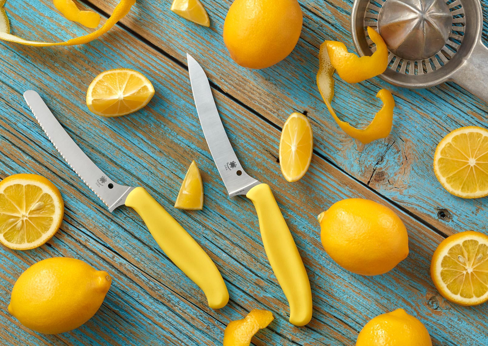 YellowHandle_Lemons_Horizontal